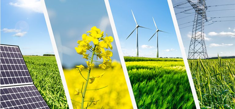 Global Investment Companies In Australia | Investor Desk