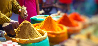 Global Investment Companies In Australia | Investor Desk